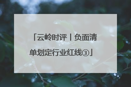 云岭时评丨负面清单划定行业红线③