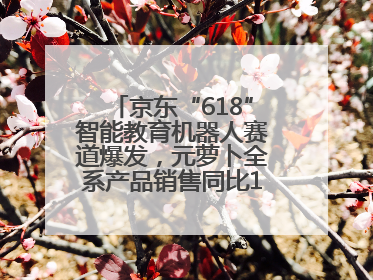 京东“618”智能教育机器人赛道爆发，元萝卜全系产品销售同比171%成黑马