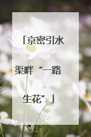京密引水渠畔“一路生花”