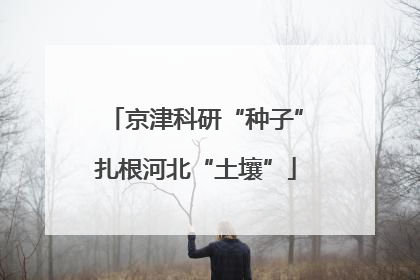 京津科研“种子”扎根河北“土壤”