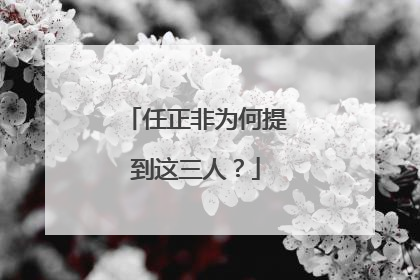 任正非为何提到这三人？
