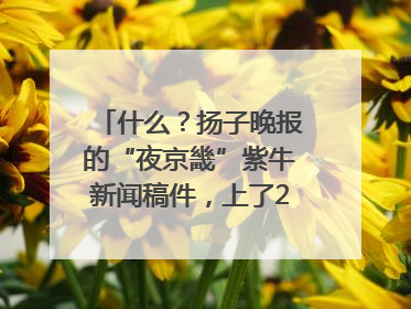 什么？扬子晚报的“夜京畿”紫牛新闻稿件，上了2025年镇江中考模拟卷！