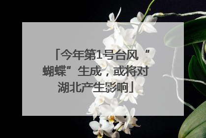 今年第1号台风“蝴蝶”生成，或将对湖北产生影响