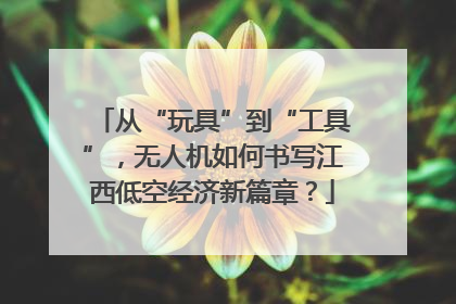从“玩具”到“工具”，无人机如何书写江西低空经济新篇章？