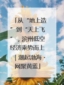 从“地上造”到“天上飞”，滨州低空经济乘势而上｜潮起渤海・网聚黄蓝