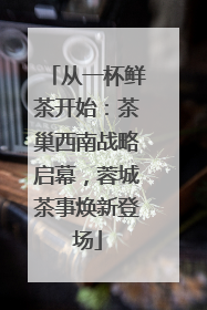 从一杯鲜茶开始：茶巢西南战略启幕，蓉城茶事焕新登场