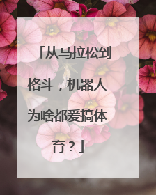 从马拉松到格斗，机器人为啥都爱搞体育？