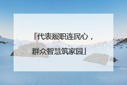 代表履职连民心，群众智慧筑家园