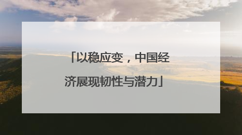以稳应变，中国经济展现韧性与潜力