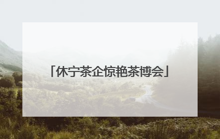 休宁茶企惊艳茶博会