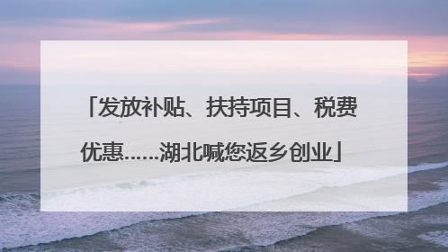 发放补贴、扶持项目、税费优惠……湖北喊您返乡创业