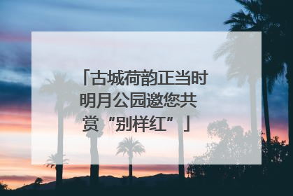 古城荷韵正当时 明月公园邀您共赏“别样红”