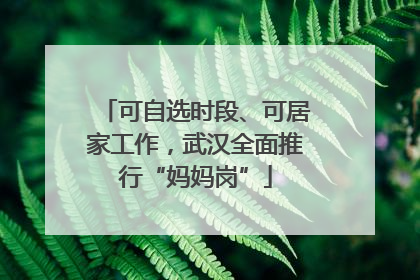 可自选时段、可居家工作，武汉全面推行“妈妈岗”