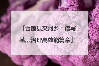 台前县夹河乡：谱写基层治理高效能篇章