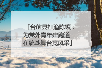 台前县打渔陈镇：为党外青年建跑道 在统战舞台竞风采