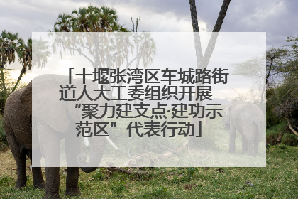 十堰张湾区车城路街道人大工委组织开展 “聚力建支点·建功示范区”代表行动