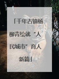 千年古镇杨柳青绘就“人民城市”育人新篇