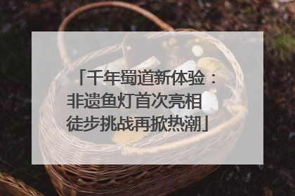 千年蜀道新体验：非遗鱼灯首次亮相 徒步挑战再掀热潮