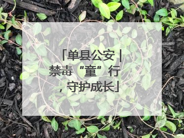 单县公安｜禁毒“童”行，守护成长