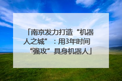 南京发力打造“机器人之城”：用3年时间“强攻”具身机器人