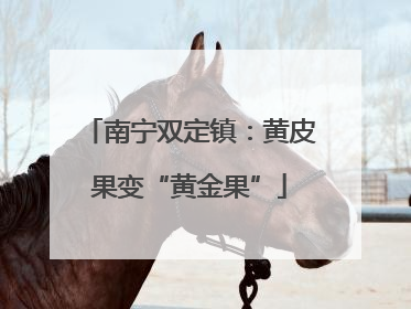 南宁双定镇：黄皮果变“黄金果”