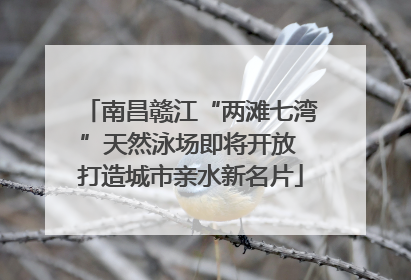 南昌赣江“两滩七湾”天然泳场即将开放 打造城市亲水新名片