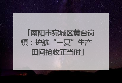 南阳市宛城区黄台岗镇：护航“三夏”生产 田间抢收正当时