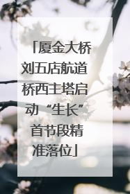 厦金大桥刘五店航道桥西主塔启动“生长” 首节段精准落位