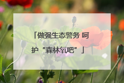 做强生态警务 呵护“森林氧吧”