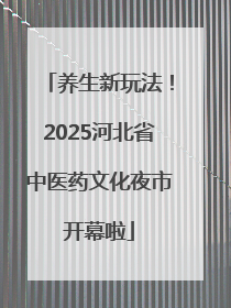 养生新玩法！2025河北省中医药文化夜市开幕啦