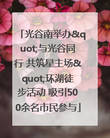 光谷南举办"与光谷同行 共筑星主场"环湖徒步活动 吸引500余名市民参与