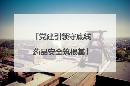 党建引领守底线 药品安全筑根基