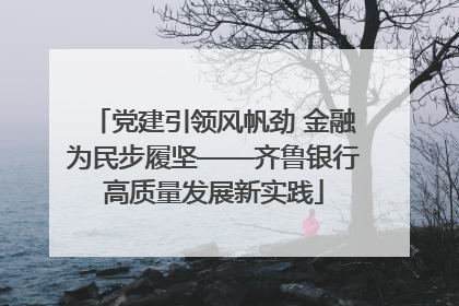 党建引领风帆劲 金融为民步履坚——齐鲁银行高质量发展新实践