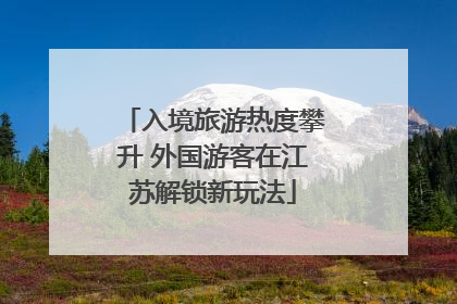 入境旅游热度攀升 外国游客在江苏解锁新玩法