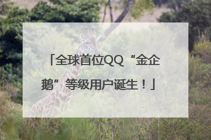 全球首位QQ“金企鹅”等级用户诞生！
