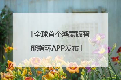 全球首个鸿蒙版智能指环APP发布