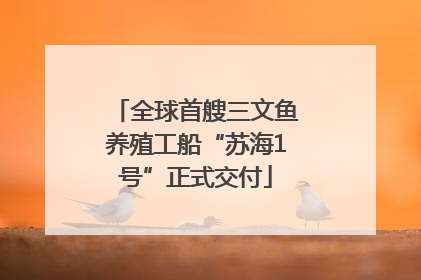 全球首艘三文鱼养殖工船“苏海1号”正式交付