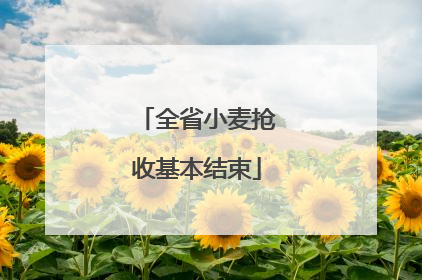 全省小麦抢收基本结束