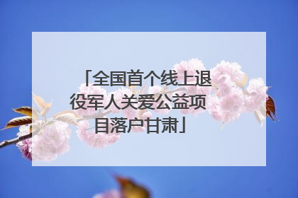 全国首个线上退役军人关爱公益项目落户甘肃