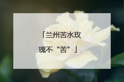 兰州苦水玫瑰不“苦”