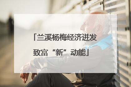 兰溪杨梅经济迸发致富“新”动能