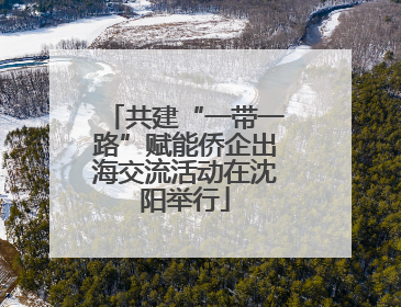 共建“一带一路”赋能侨企出海交流活动在沈阳举行