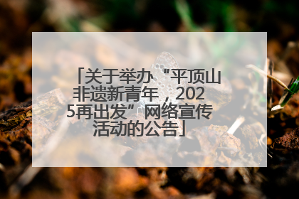 关于举办“平顶山非遗新青年，2025再出发”网络宣传活动的公告