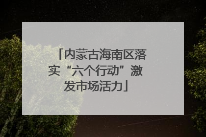 内蒙古海南区落实“六个行动”激发市场活力