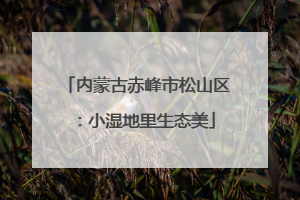 内蒙古赤峰市松山区：小湿地里生态美