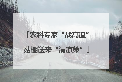 农科专家“战高温” 菇棚送来“清凉策”