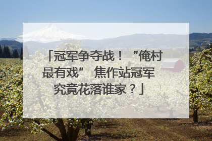 冠军争夺战！“俺村最有戏” 焦作站冠军究竟花落谁家？