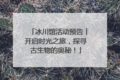 冰川馆活动预告丨开启时光之旅，探寻古生物的奥秘！