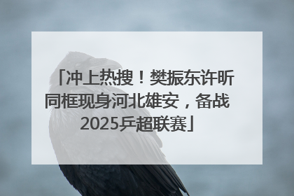 冲上热搜！樊振东许昕同框现身河北雄安，备战2025乒超联赛