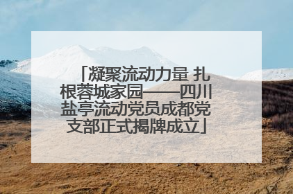 凝聚流动力量 扎根蓉城家园——四川盐亭流动党员成都党支部正式揭牌成立
